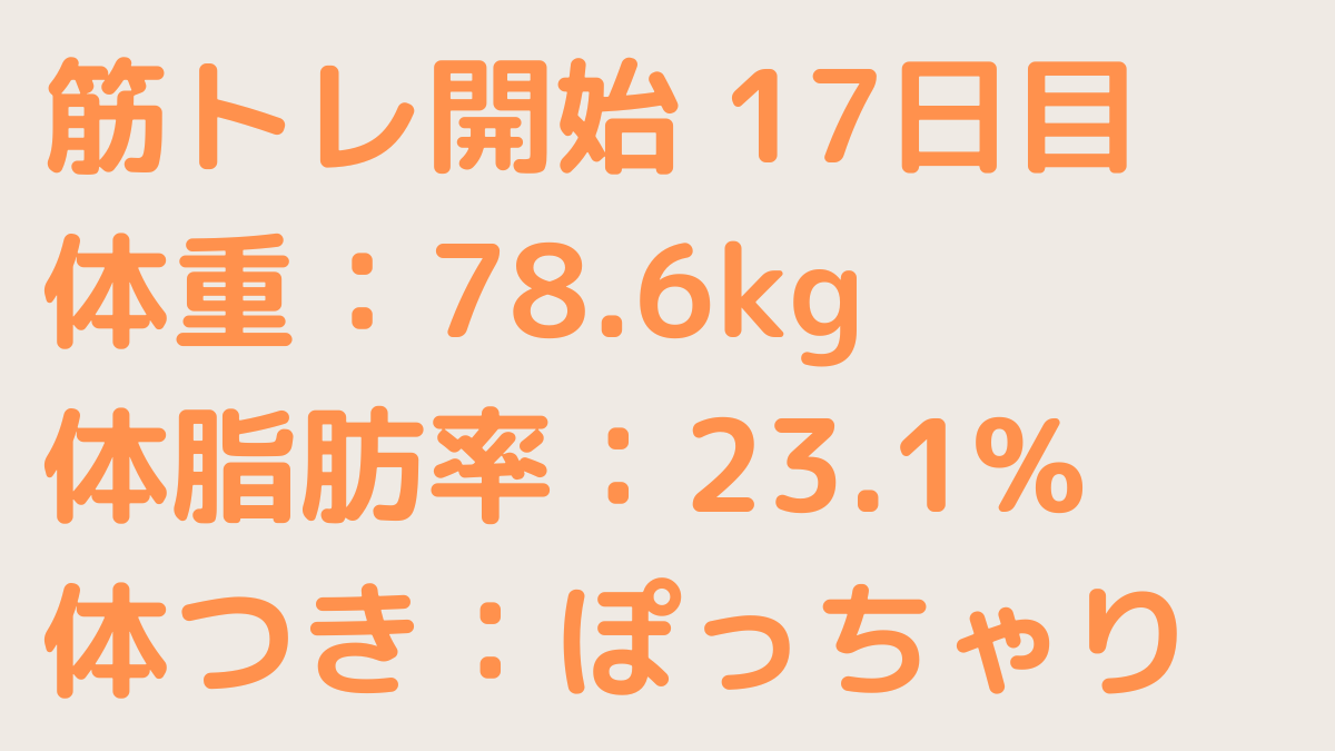 筋トレの記録17